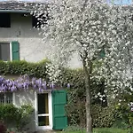 L'isola